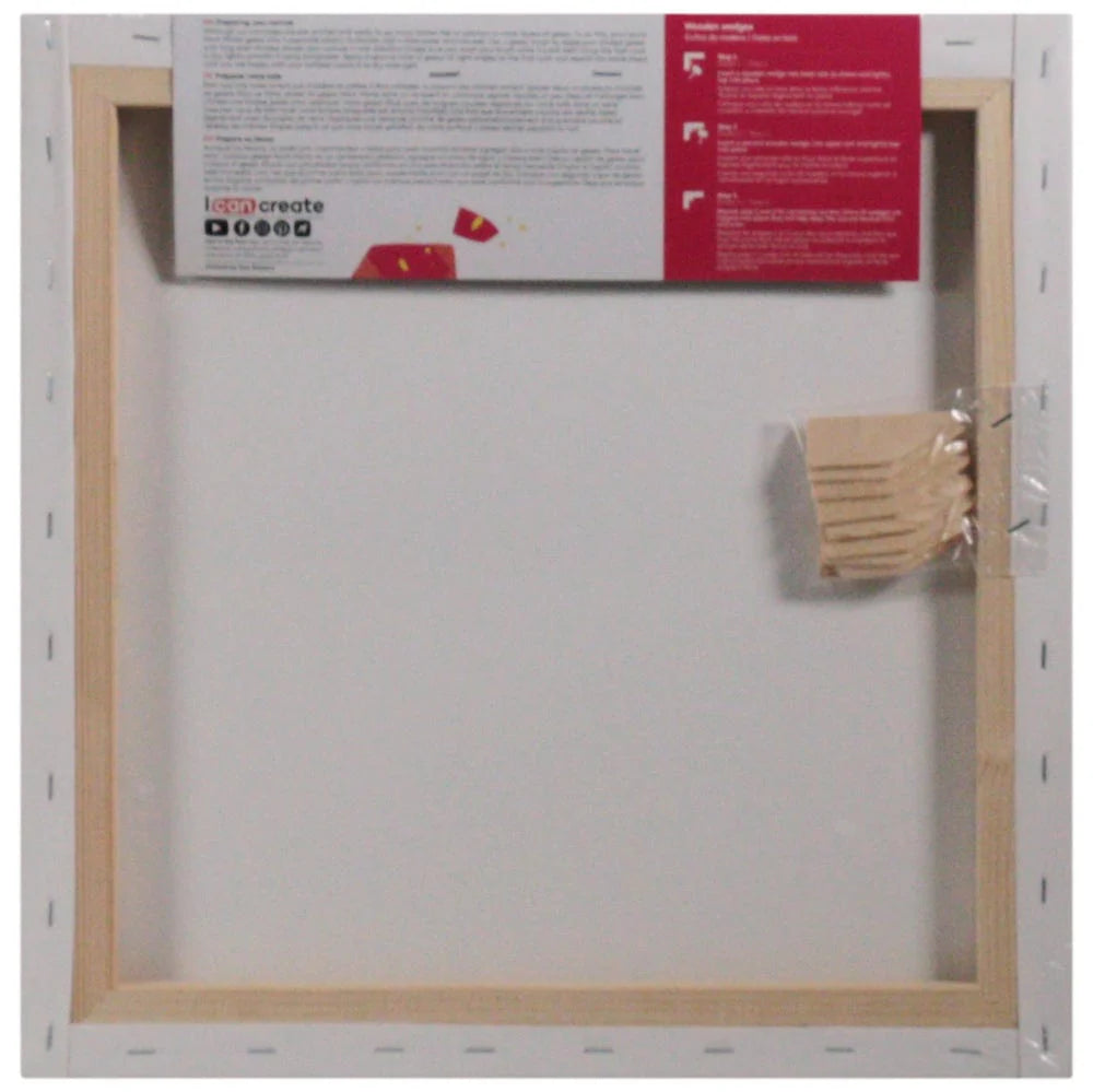 MM Discovery Canvas Single Thick 40x40cm