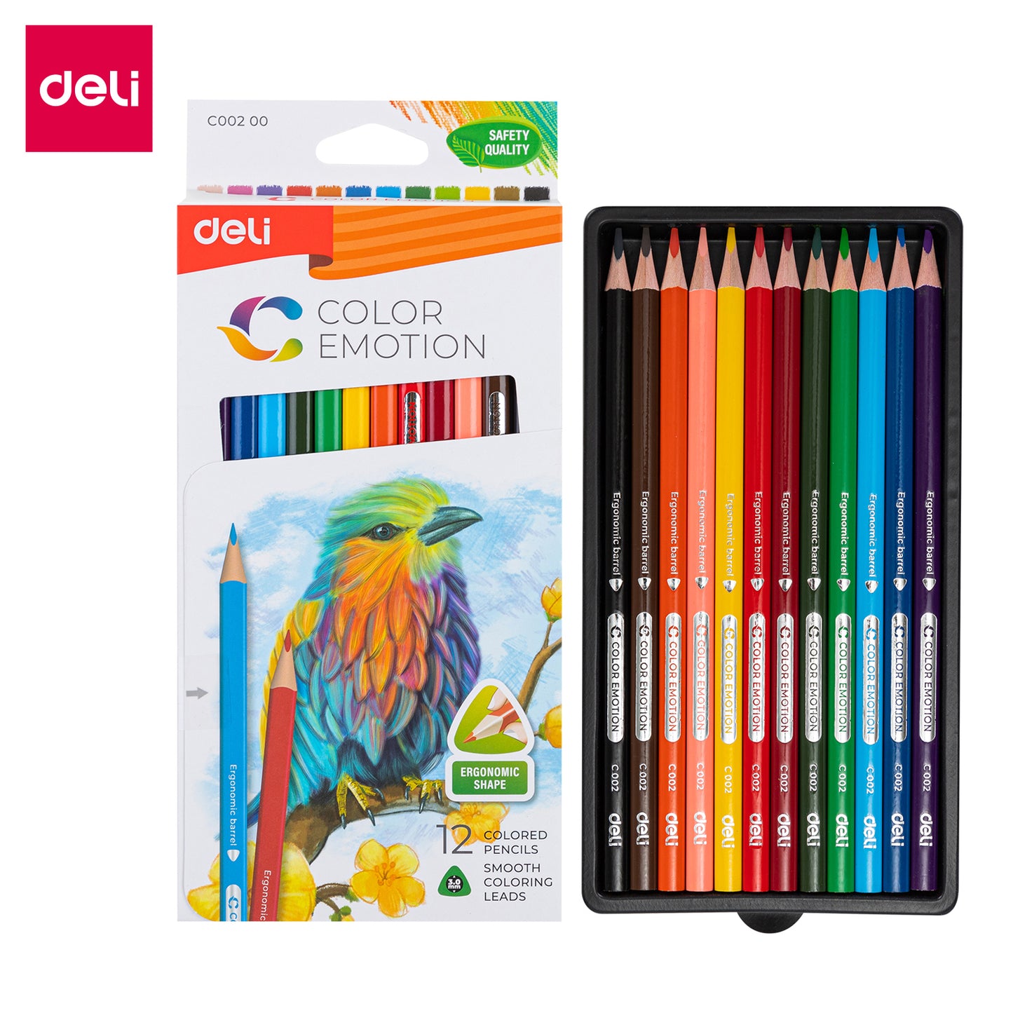 Colored Pencil - Deli 12Colors