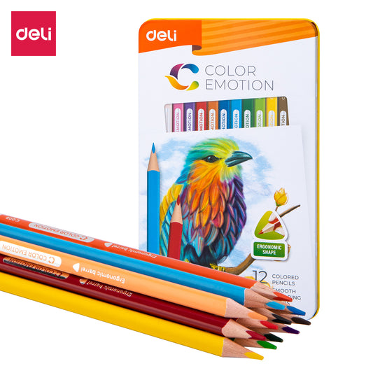 Colored Pencil - Deli 12Colors