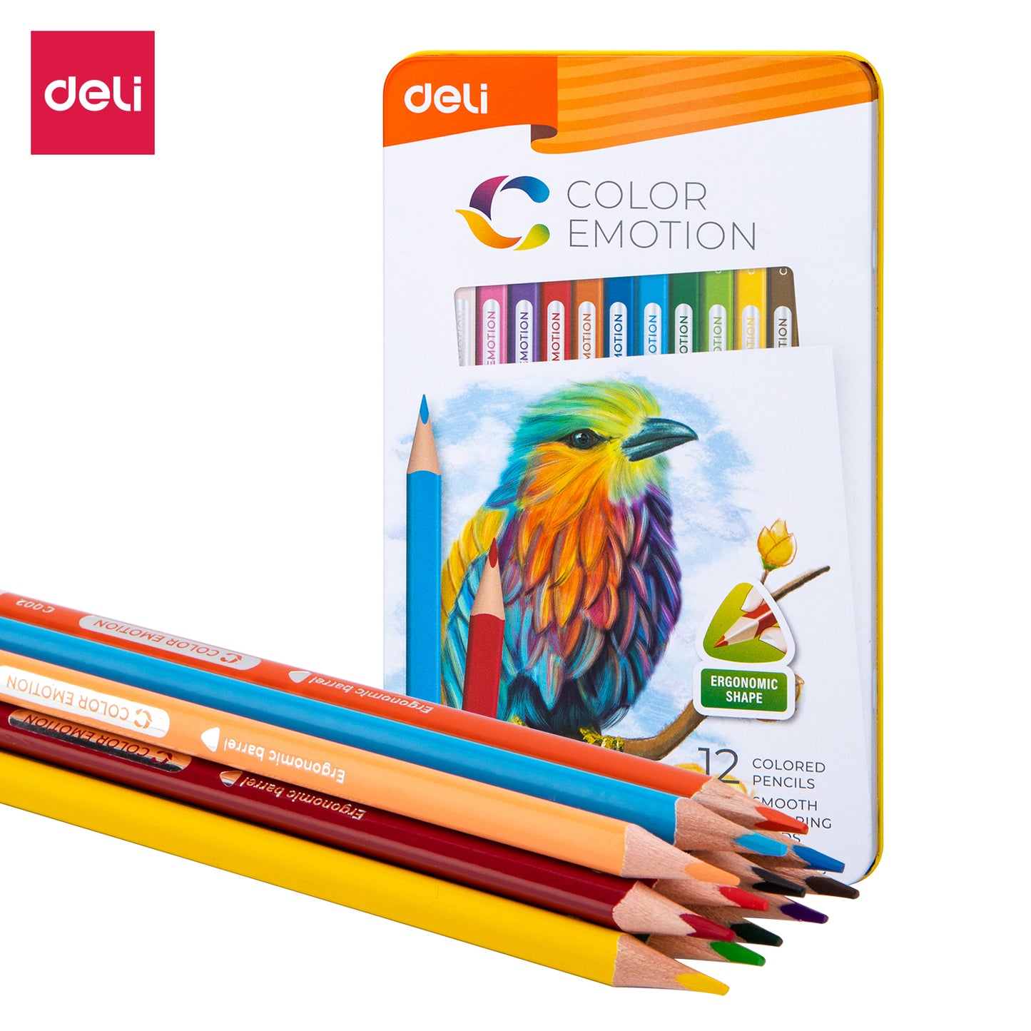 Colored Pencil - Deli 12Colors