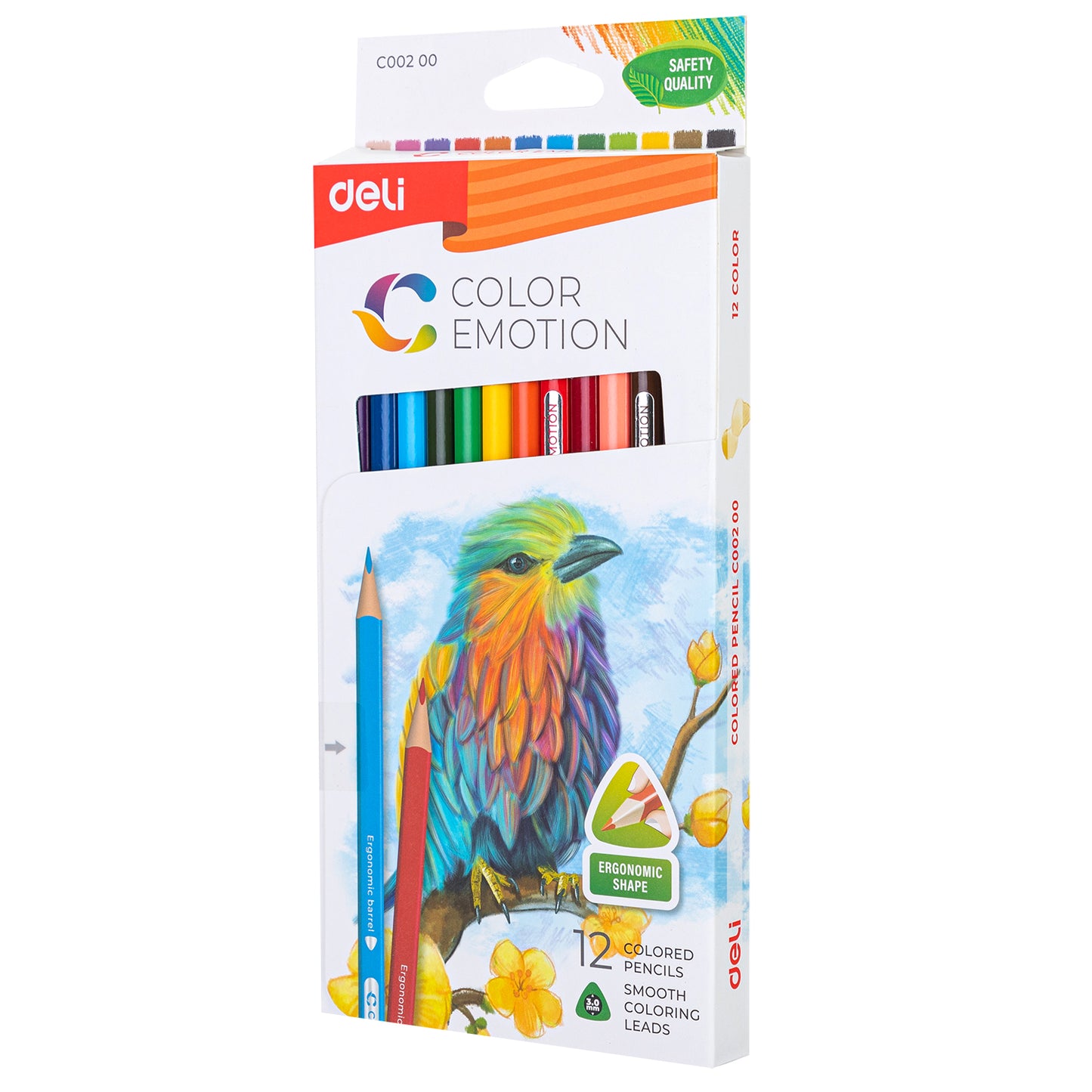Colored Pencil - Deli 12Colors