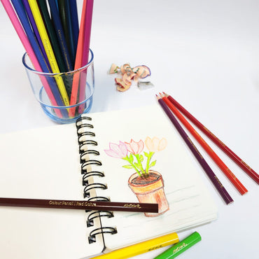 Visual Art Diary Signature A6 120page 110gsm