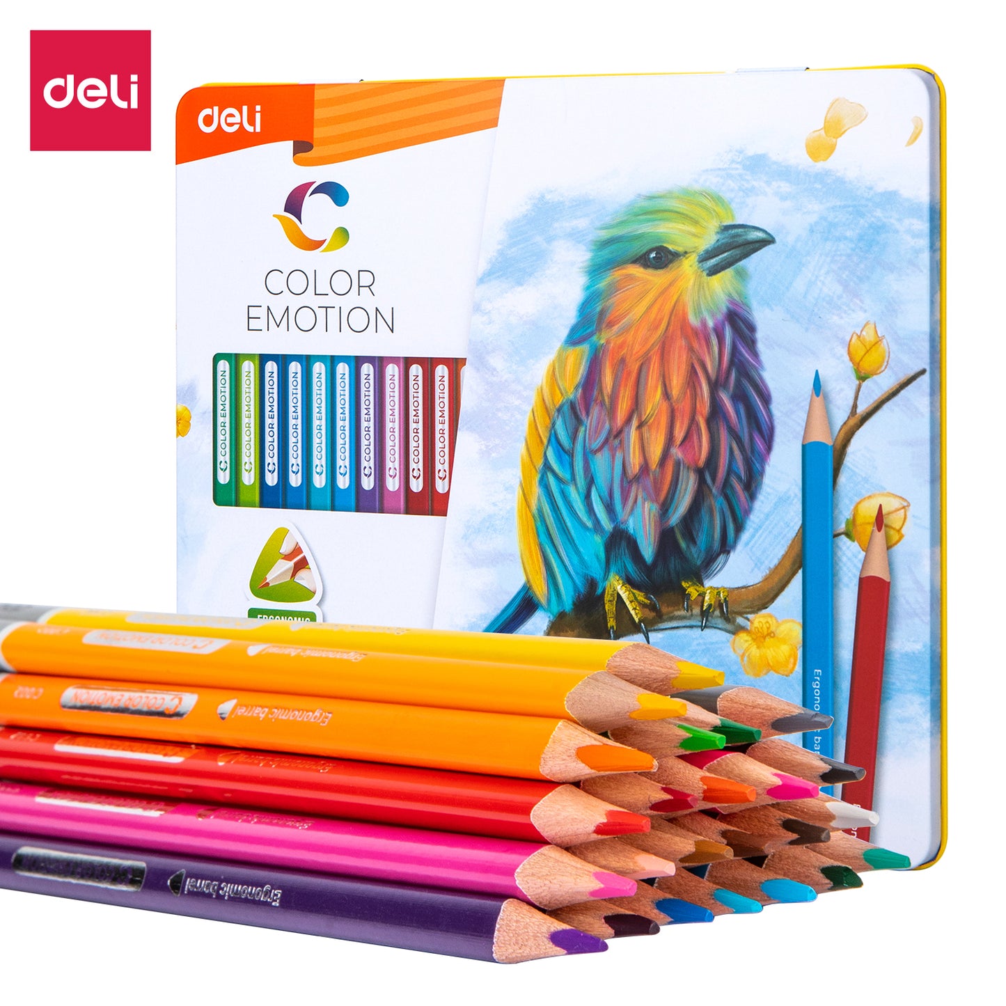 Colored Pencil - Deli 24 colors