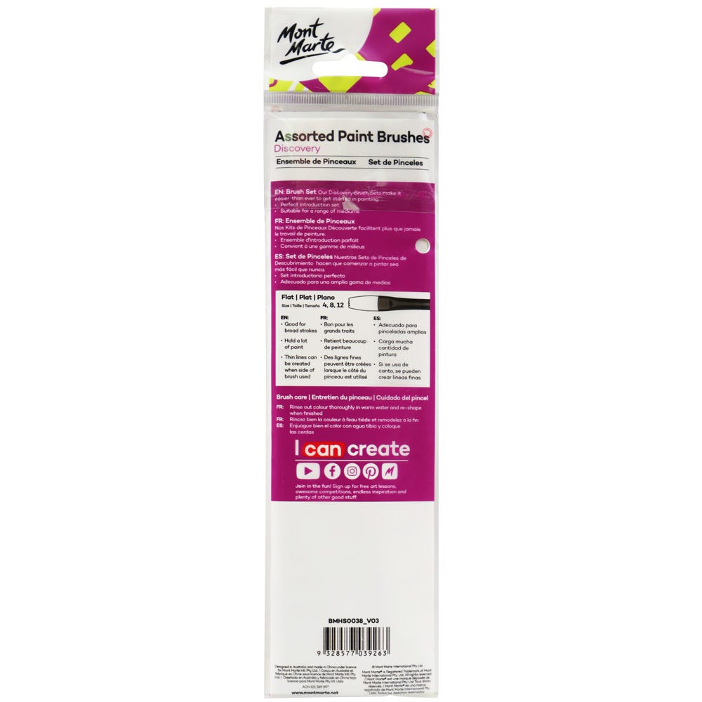 Assorted Paint Brushes Discovery 3pc