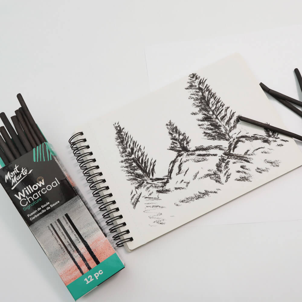 Willow Charcoal Signature 12pc